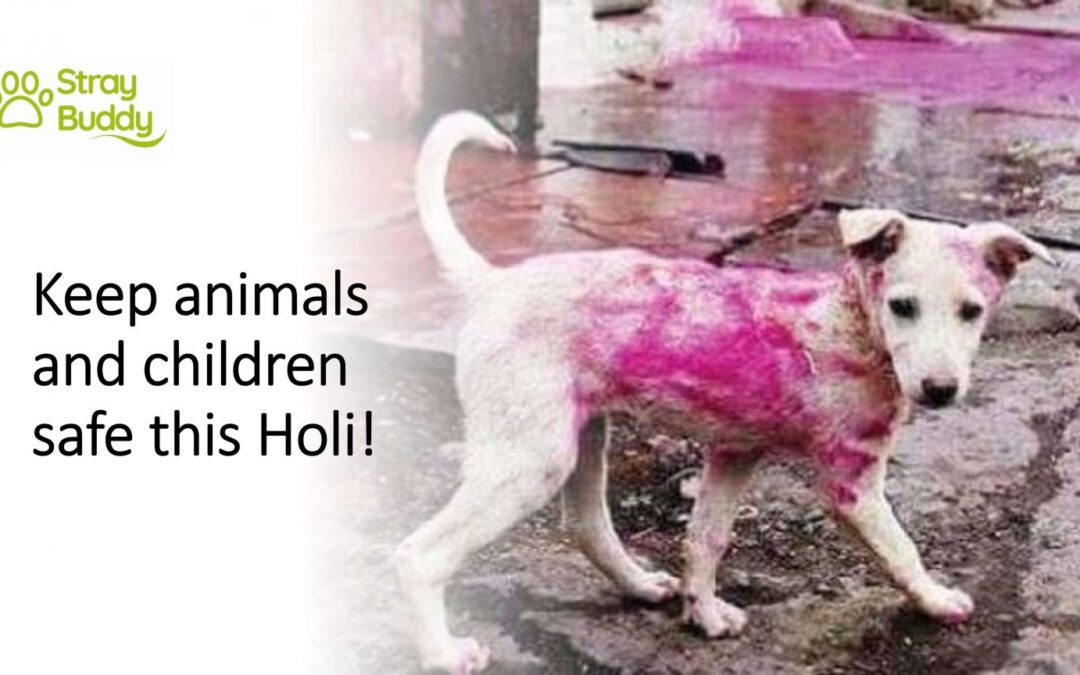 This Holi, colour your heart and teach our children to be kind to animals