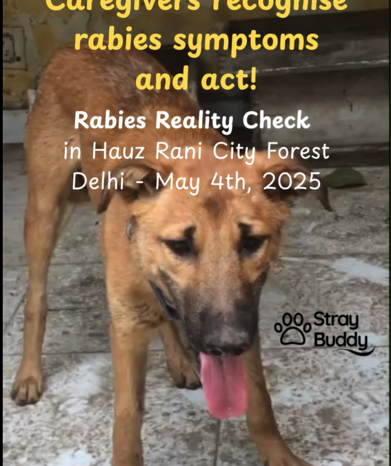 Rabies is 100% deadly but also 100% preventable