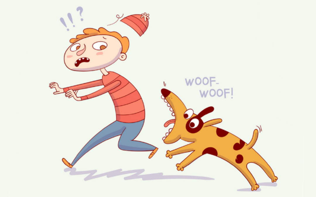 When Street Dogs Are Called “Aggressive”, Removal Is Not The First Option