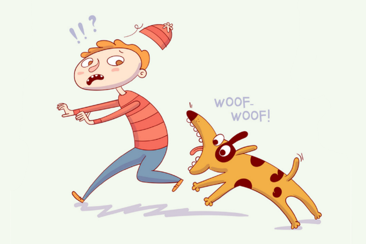 When Street Dogs Are Called “Aggressive”, Removal Is Not The First Option