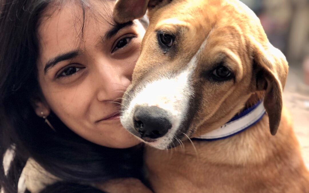 How the Dogs Stole My Heart and Kept It