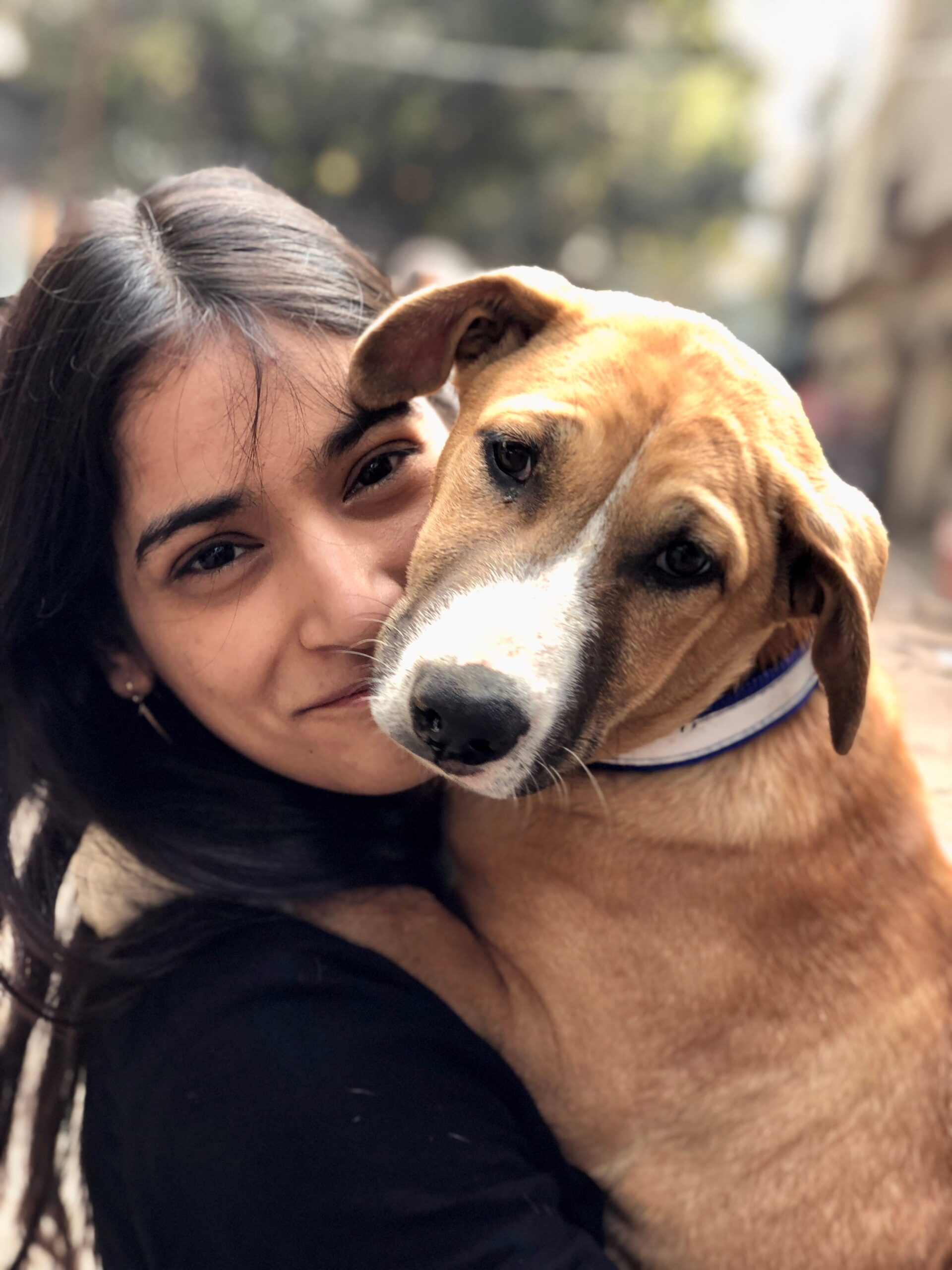 How the Dogs Stole My Heart and Kept It